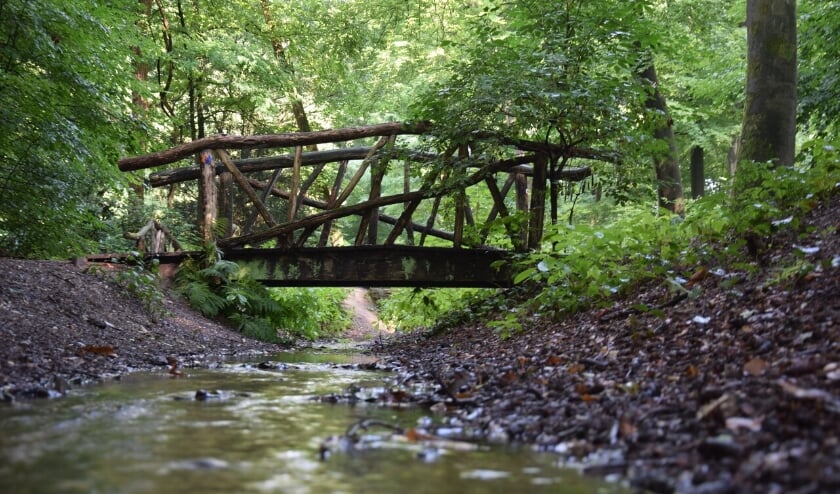 <p>Brug op Landgoed De Oorsprong. </p>