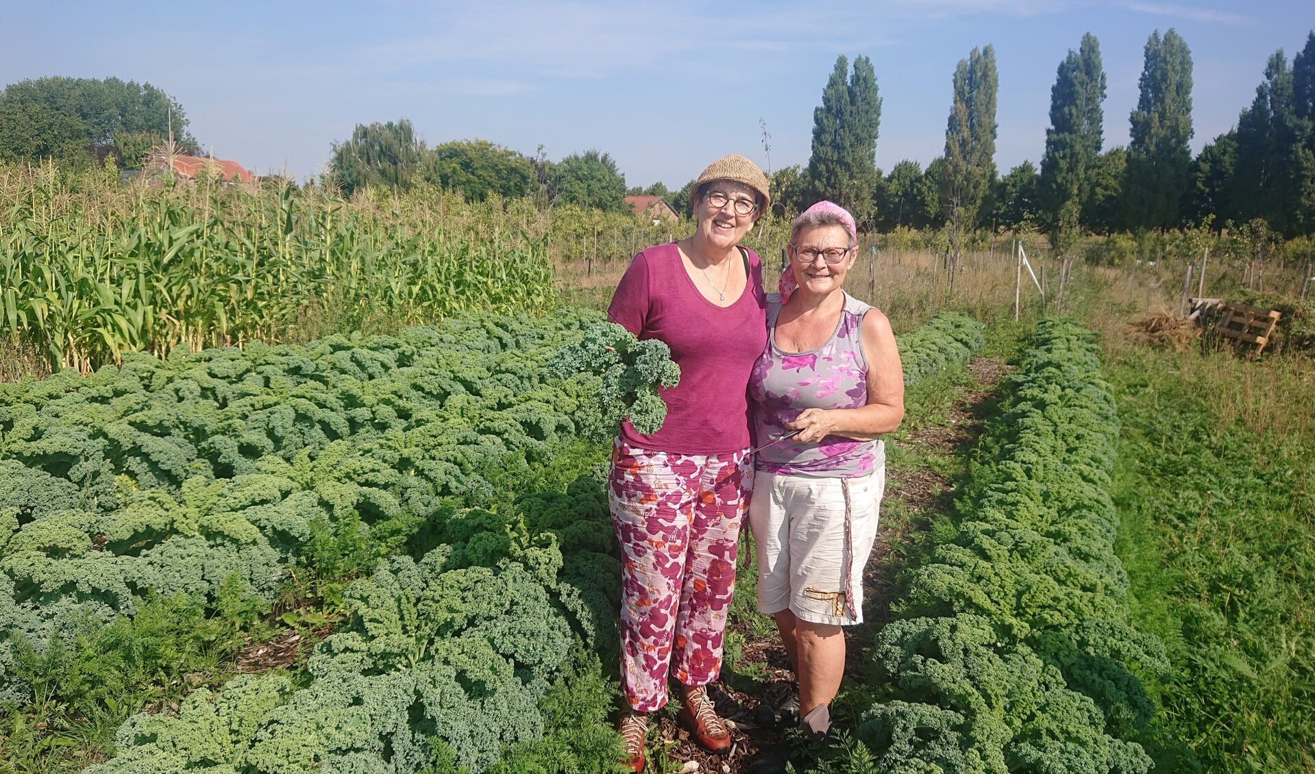  Ina en Loeki plukken hun groentes direct bij de boerderij. 