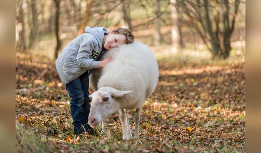<p>Mee met de schaapsherder.</p>