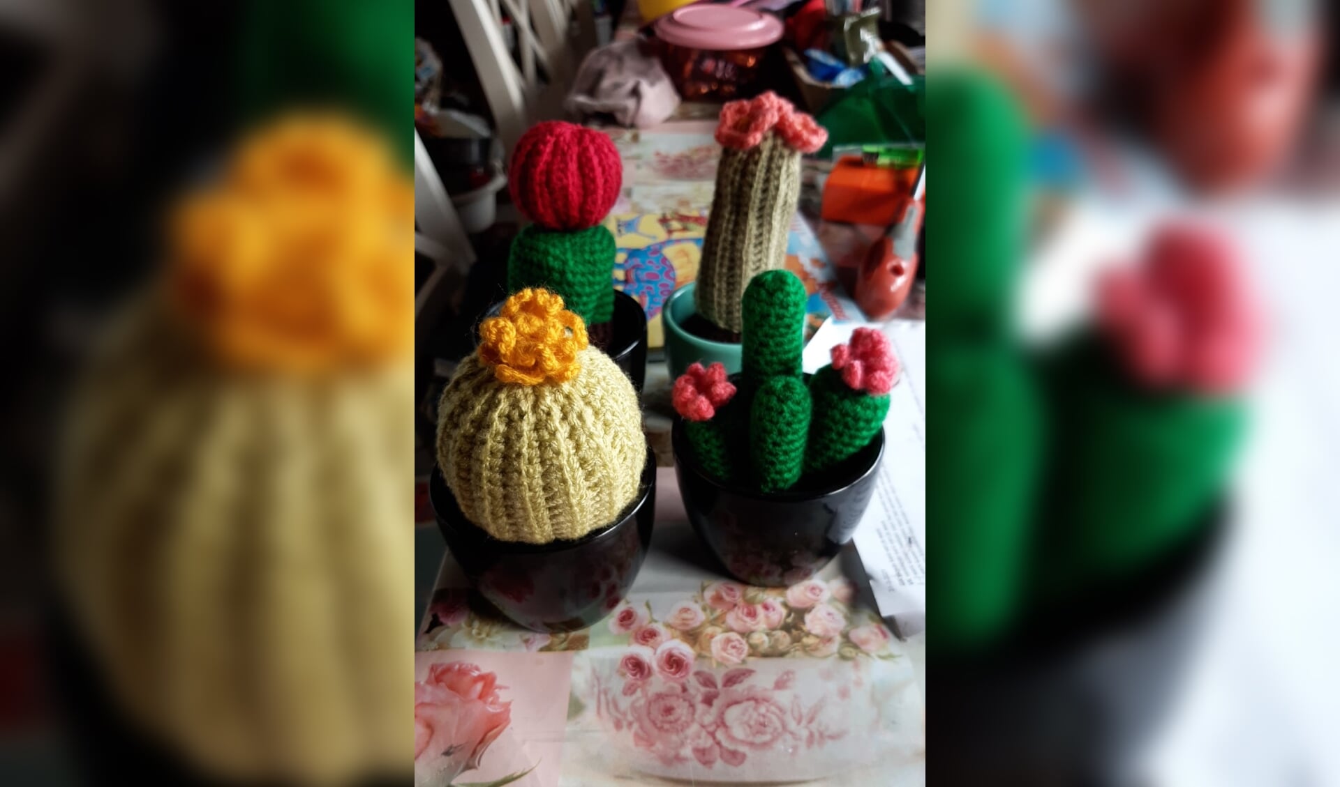 Huis van Ochten organiseert een prikkelende workshop cactus haken. 