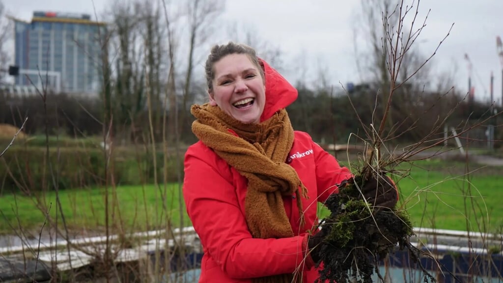 Meer Bomen Nu Deelt Gratis Bomen En Struiken Uit - Arnhemse Koerier