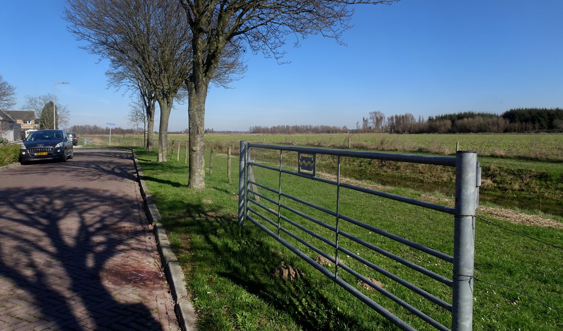 De Sallandsestraat moet in 2024 het agrarisch uitzicht inleveren voor een woonwijk met mogelijk 100 tot 150 flexwoningen.