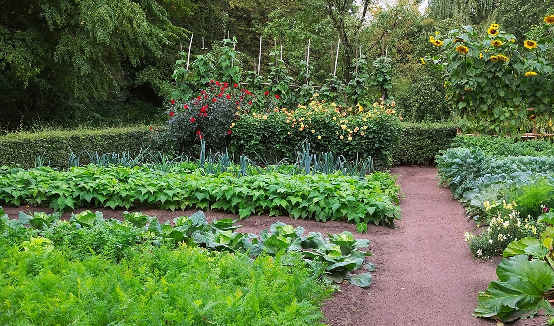 genieten van al wat de natuur te bieden heeft!