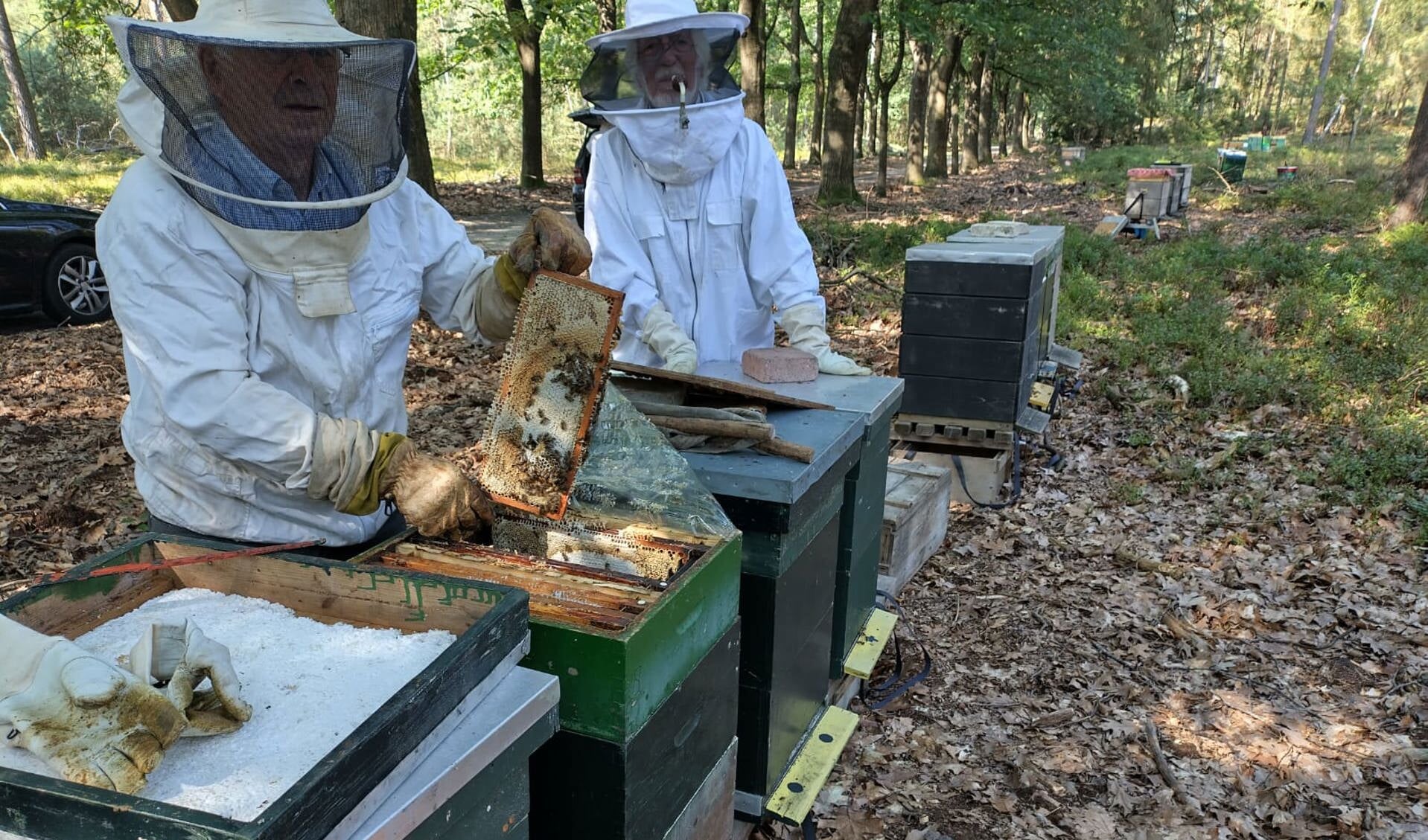 Imkers 'Om en BIJ Rhenen' halen hun bijen van de heide. (foto: Thijs Janssen)