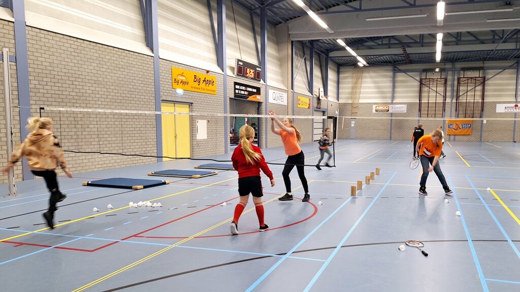 Badmintonclinics Koningsspelen in sporthal Walburgen. 