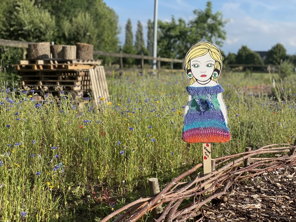 Een Roosje deze zomer in het Vlindertuinzonnetje! (foto: Desiree Groen)
