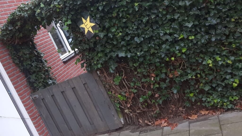 Gele ster van de speurtocht: heb je deze al gevonden? (foto: SvdVoort)