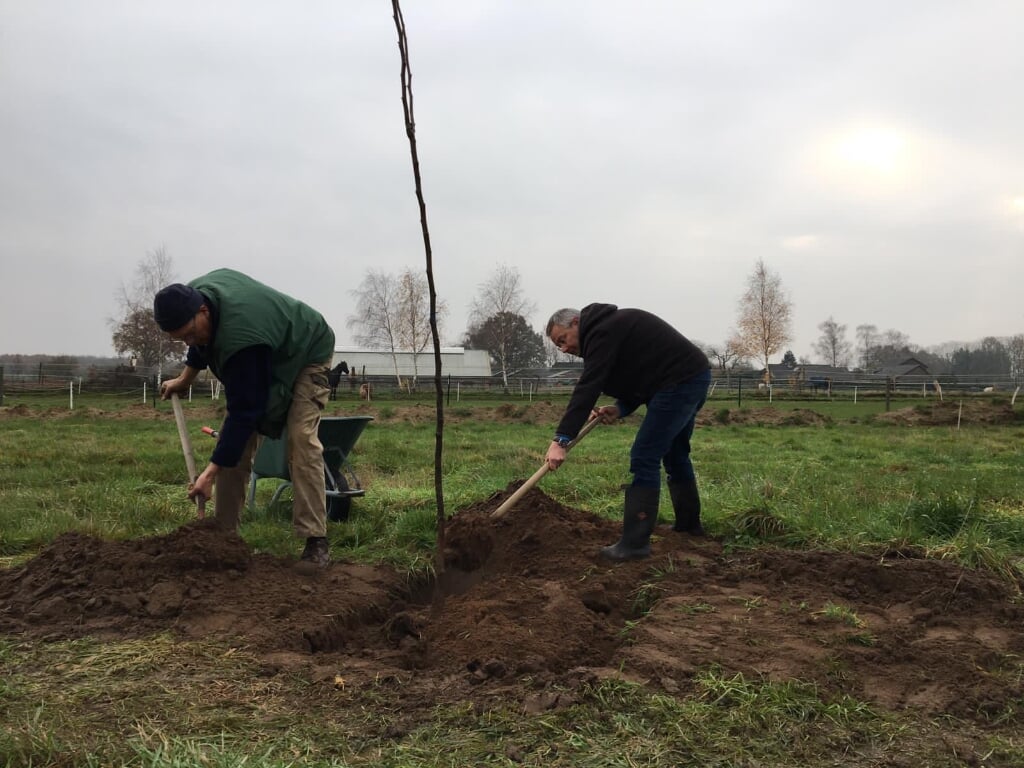 Huijbert Vroege en wethouder René Waas (rechts) planten eerste boom. (foto: SLG)