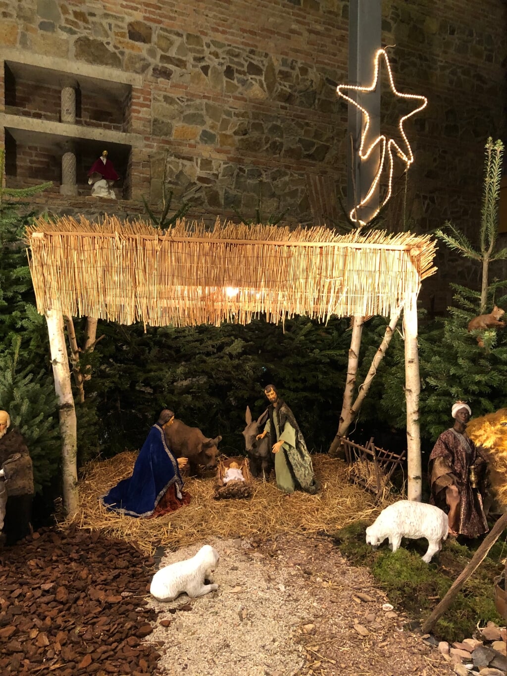 De kerststal in de kerk in Malden is ook dit jaar alleen digitaal te bekijken. (foto: H. Antonius Abtkerk Malden)