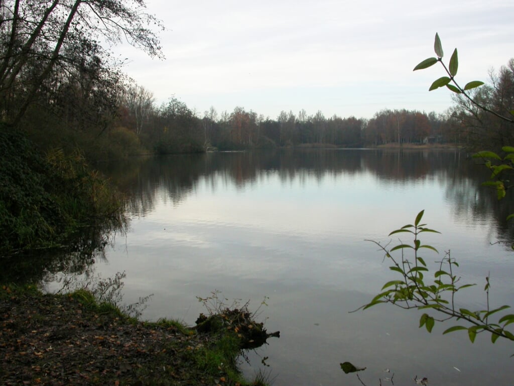 Waterplas de Berendonck. (foto: Frans v.d. Burgt)
