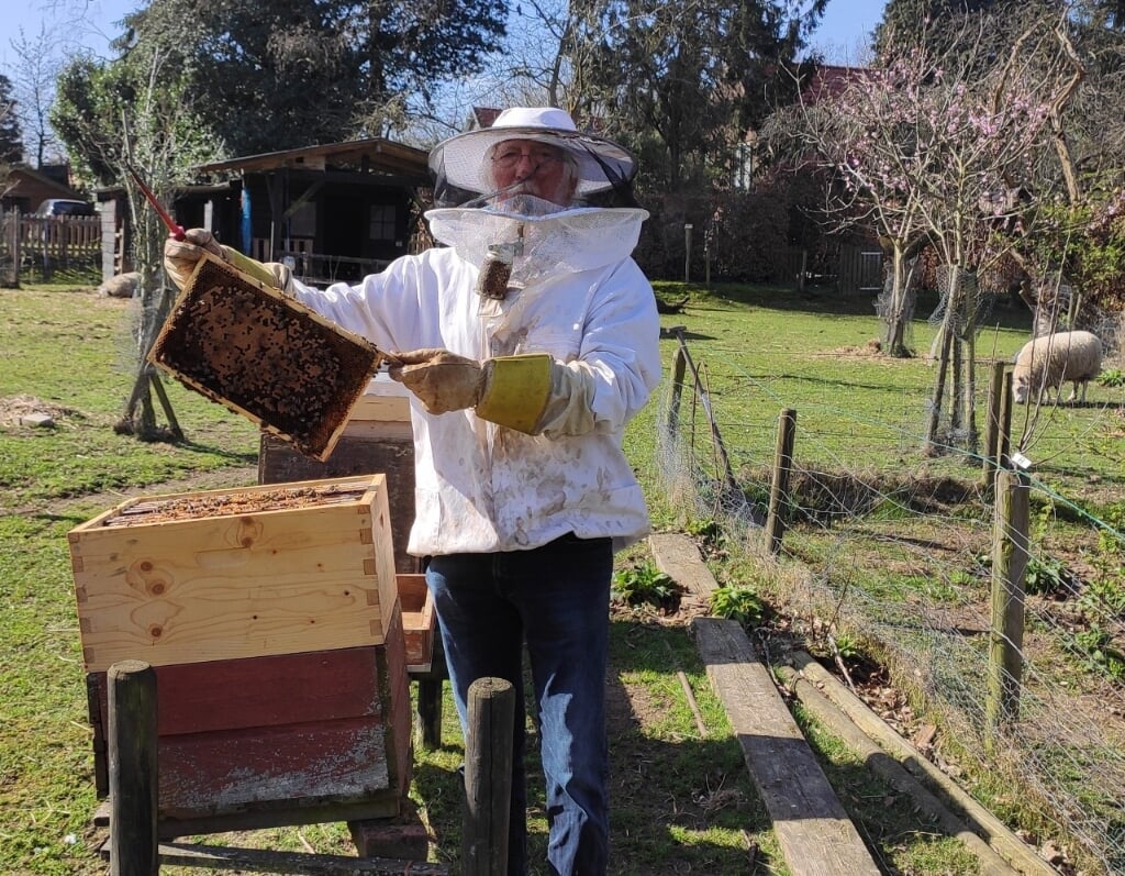 Voorzitter Rob Moret maakt bijenkast klaar. (foto: Jan van de Brink)