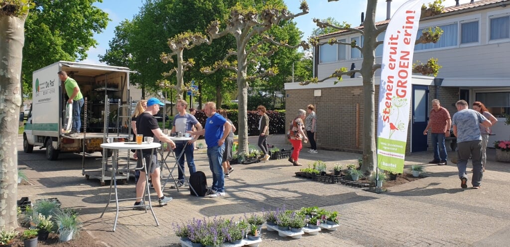 Bewoners vergroenen het pleintje van De Wilgenhof. (foto: Operatie Steenbreek Lingewaard)