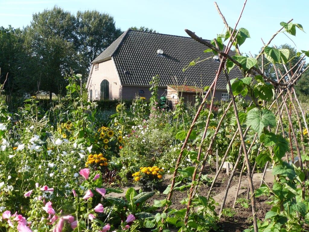Tuinen rondom De Veldschuur in Bemmel. (foto: Jan de Moor)