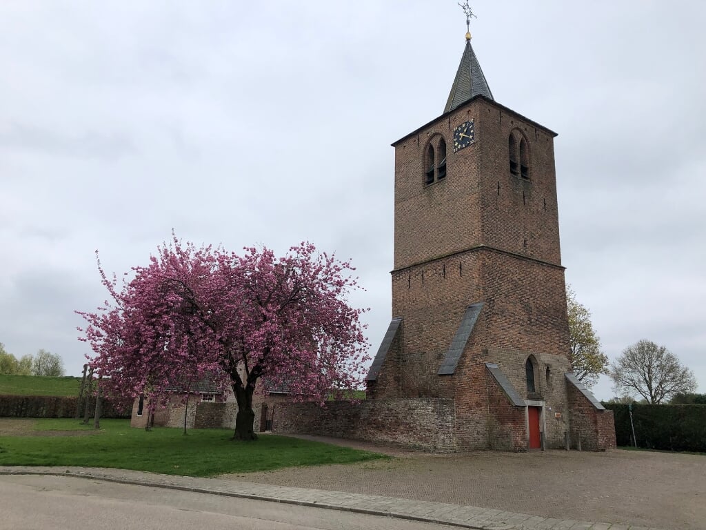 Kerk in rose bloesem gehuld. (foto: Lian Steenhof)