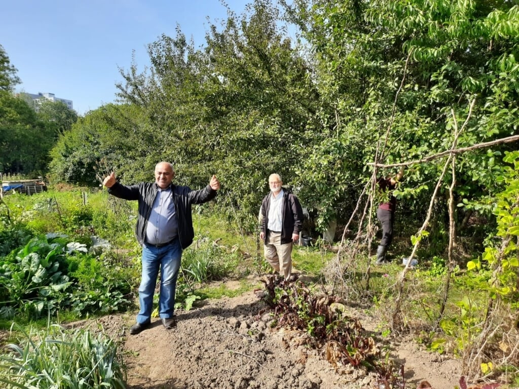 Deelnemers aan project ‘Deel de tuin met oudere migranten’.
