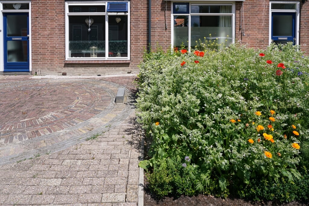 In de gemeente Hollands Kroon. (foto: Sjon Heijenga)