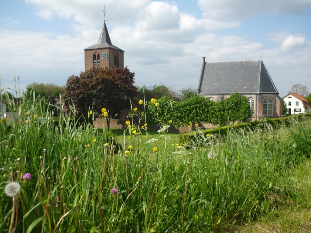 Kerkje Gendt vanaf de dijk gezien. (foto: Lian Steenhof)