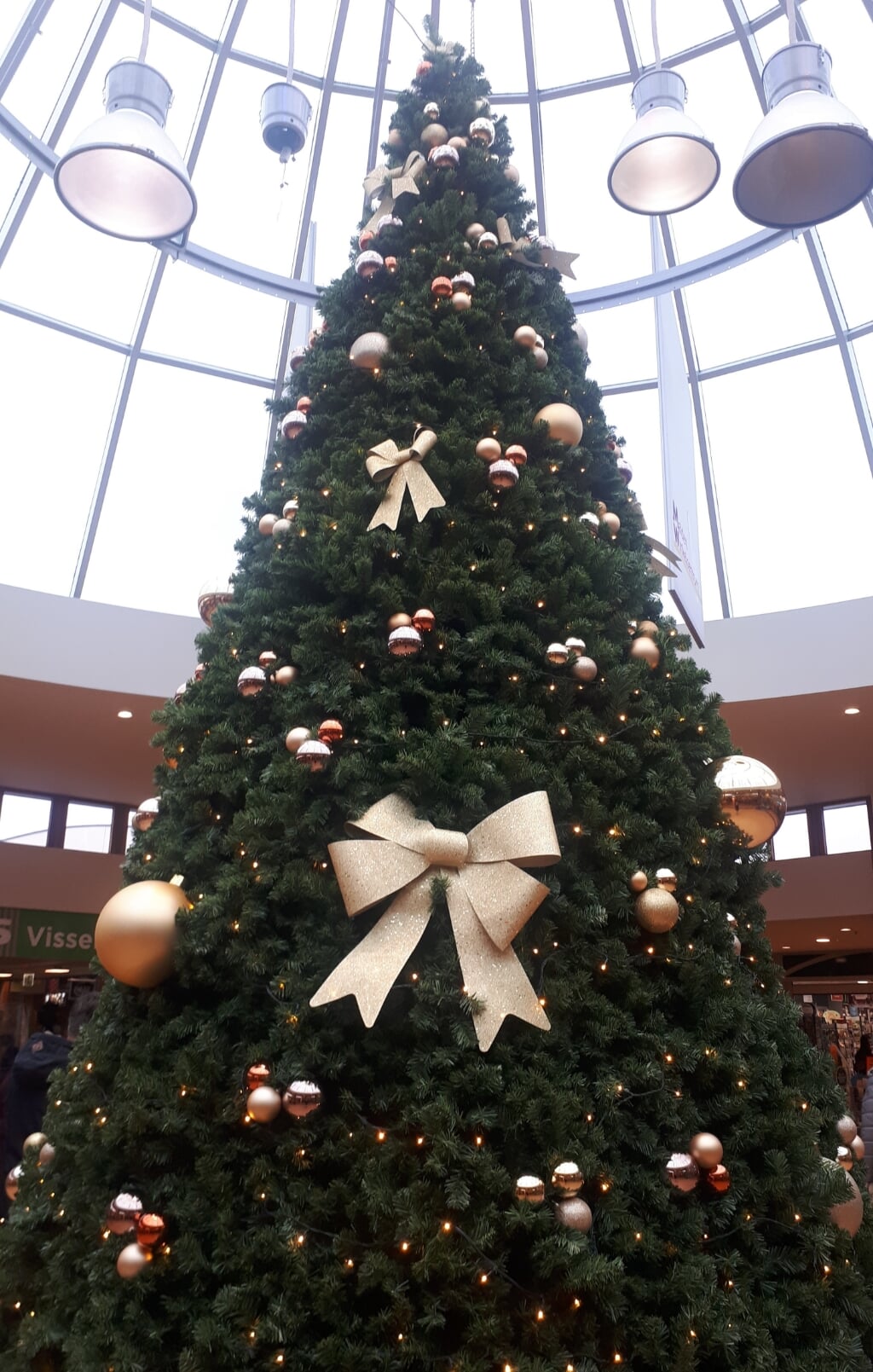 Kerstboom winkelcentrum Malden. (foto: Charlotte Selten-Litmaath)