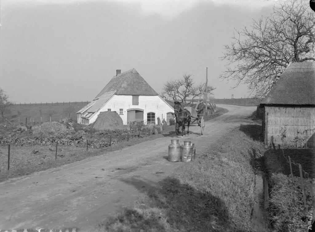 Rijndijk bij Doornenburg anno 1940. (foto: HKB)