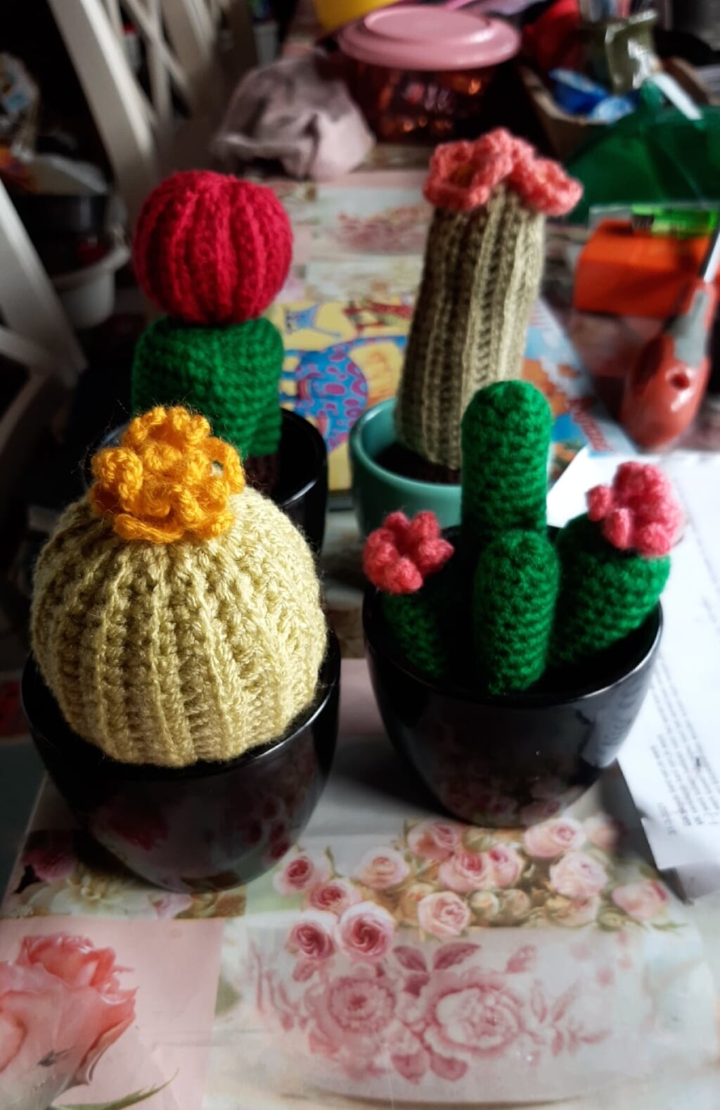 Huis van Ochten organiseert een prikkelende workshop cactus haken. (foto: Mam’s Wolwinkeltje)