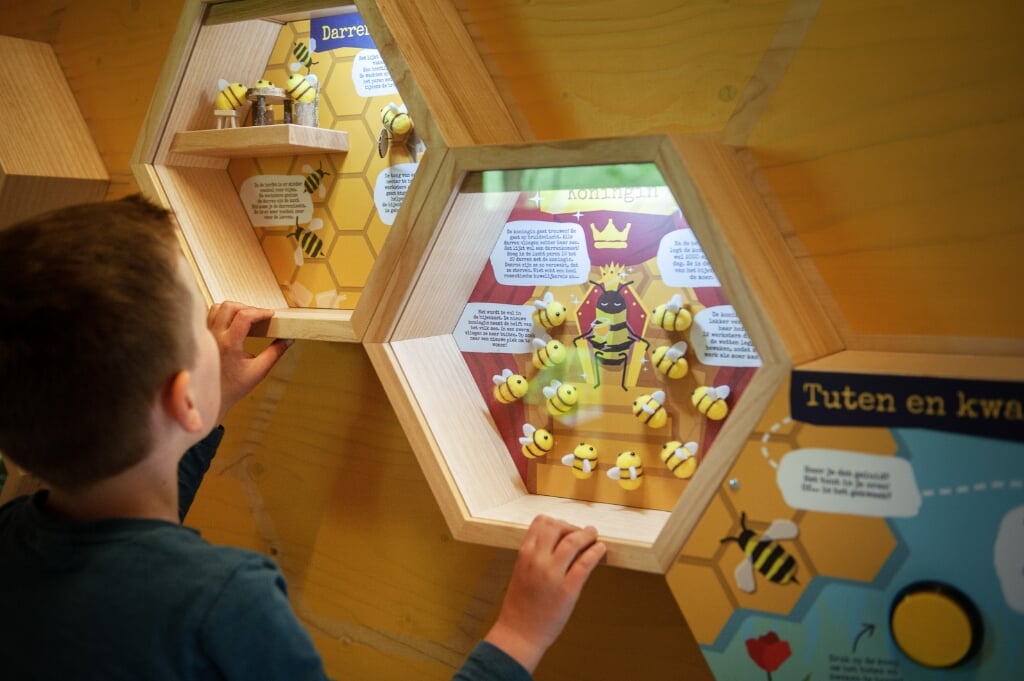 Een kijkje in de Bee & Bee. (Foto: Natuurcentrum Arnhem)