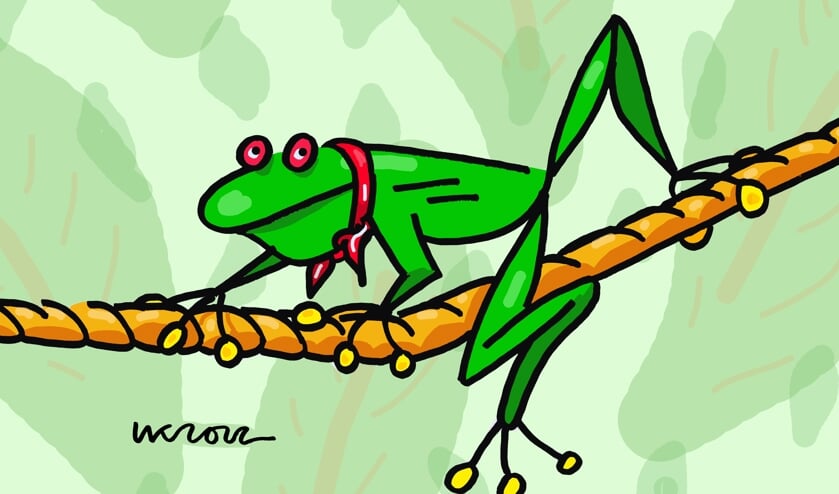Afbeelding
