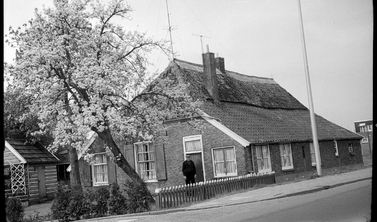 De boerderij in de lente van 1975 met de kersenboom in bloei prachtig plaatje.