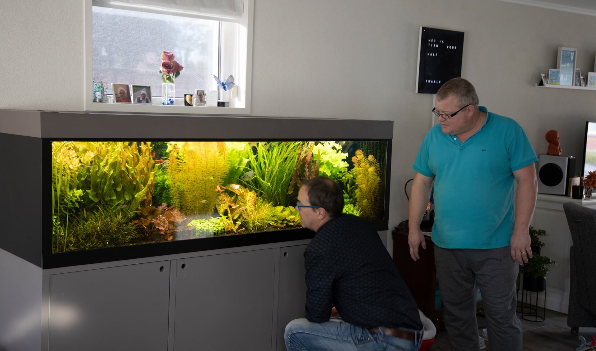 Bloedbad leugenaar zwavel Edwin Kreijkes: 'Een aquarium houden is tuinieren onder water'