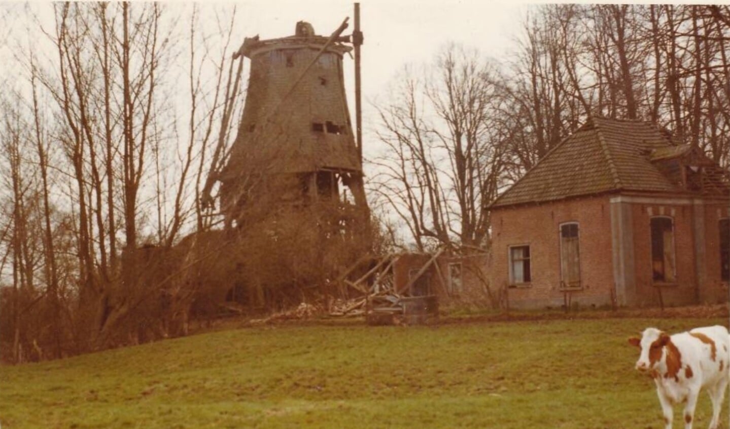 De Pelmolen en het woonhuis in zeer vervallen staat in 1973. 