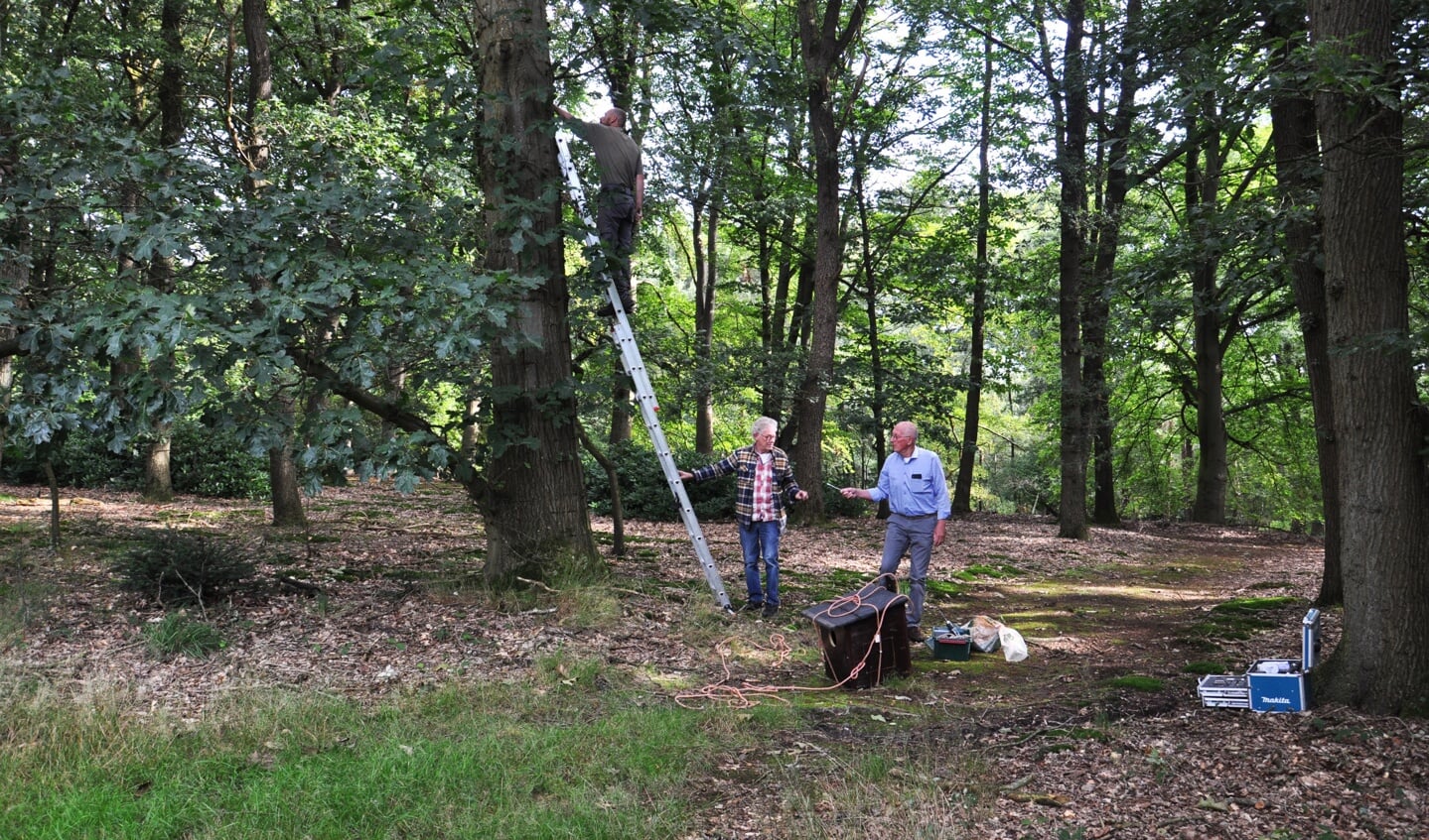 Afbeelding