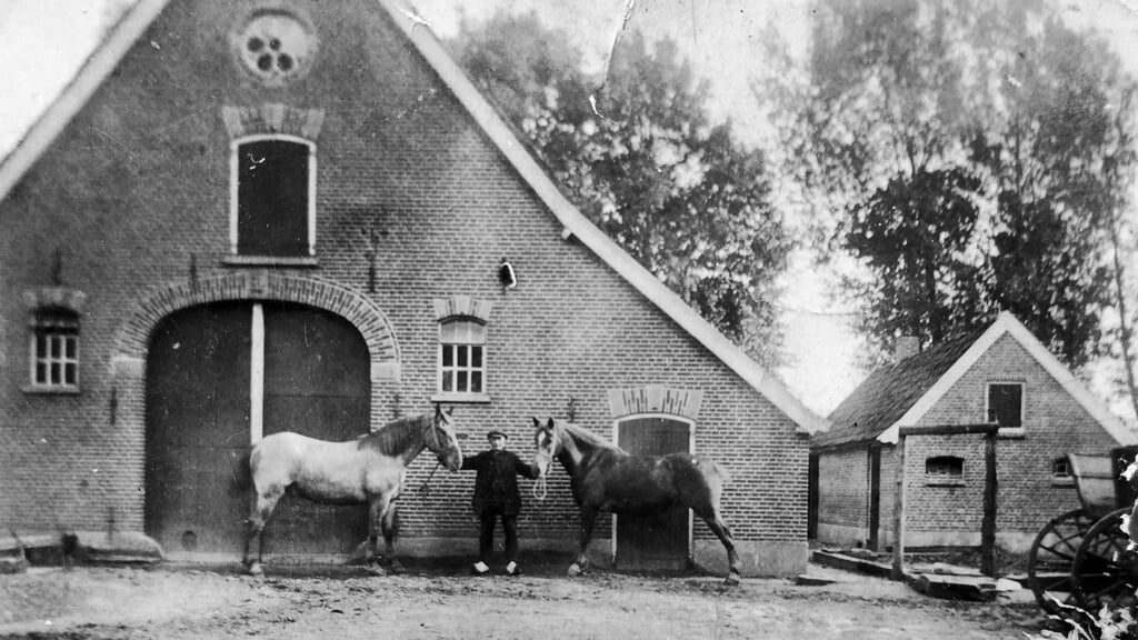 Het nienende van het Keppelink aan de Kloosterhoeksweg met Hendriekus Lammertink met de paarden. 